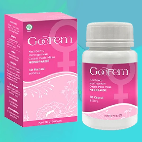 GOOFEM