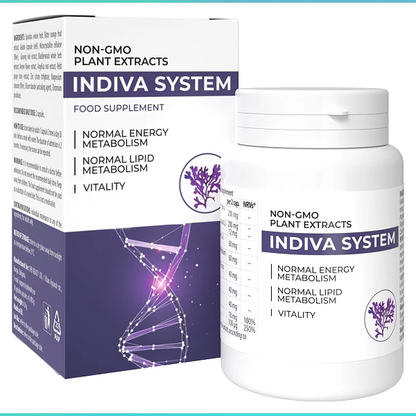 InDiva System